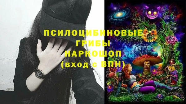 стафф Бронницы