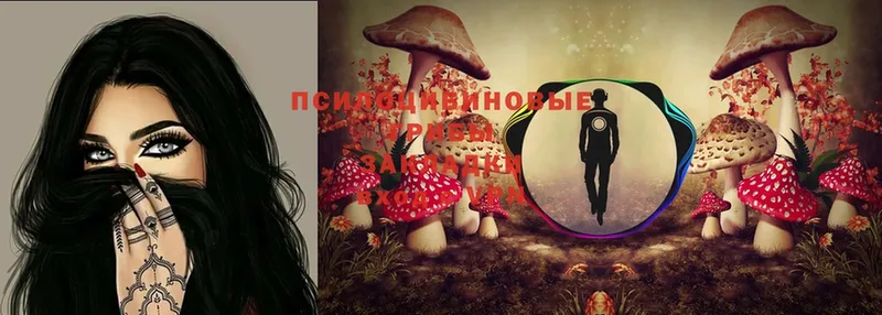 hydra ССЫЛКА  Новая Ляля  Галлюциногенные грибы Psilocybine cubensis 